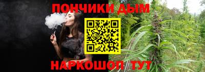 jwh Кинель