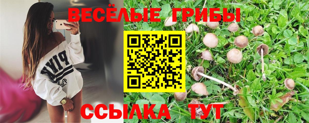Краснокамск  Галлюциногенные грибы Psilocybine cubensis  Псилоцибиновые грибы GOLDEN TEACHER  Вход с VPN 