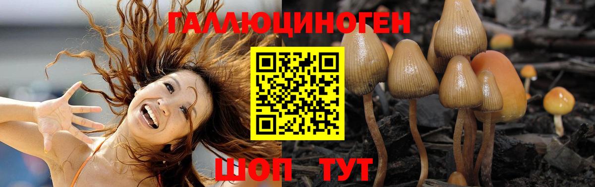 Псилоцибиновые грибы Magic Shrooms Краснокамск